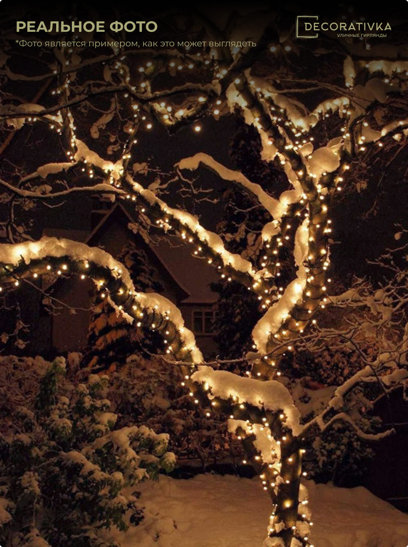 3ed2f7b2fb5911e1b458000423d33392_19d02e93588211ed8de8ac1f6b3ea7c4