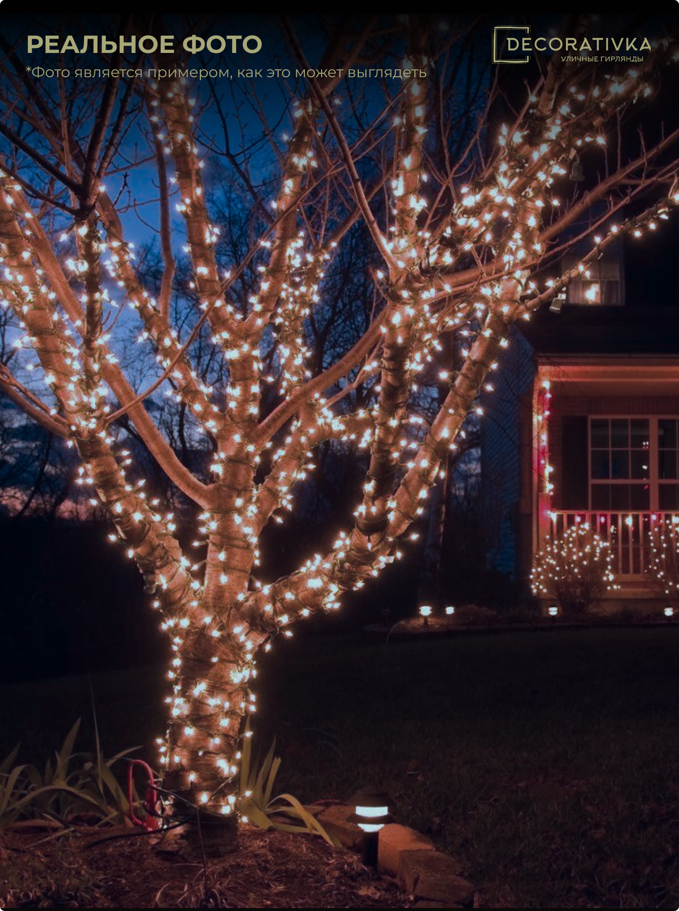 625498b5828611e7a9bd0025909400bd_25e879a4588211ed8de8ac1f6b3ea7c4