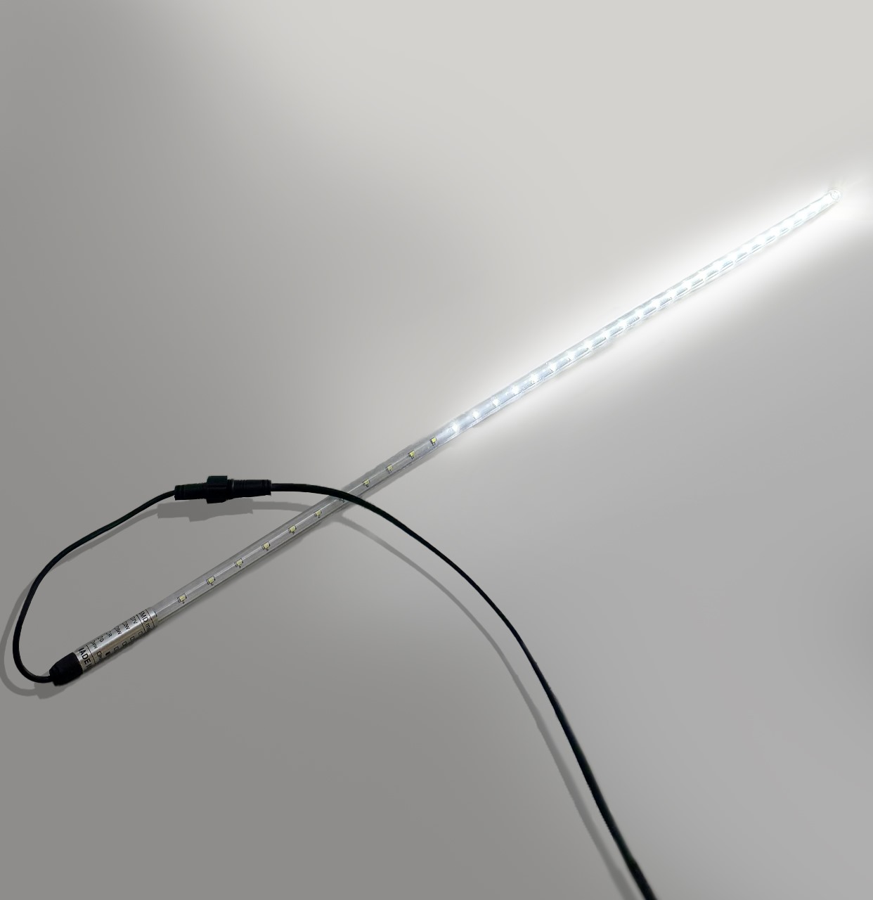CCL80-W